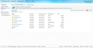 SkyDrive Übersicht