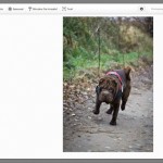 Google+ Creative Kit - Bildbearbeitung